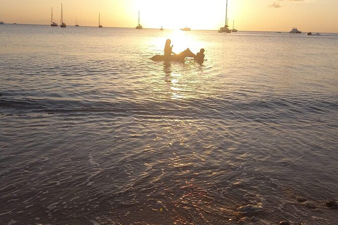 2 Hour Horseback Riding Sunset Tour with Dore's Riding Stable - Starting at 3:30 PM in lower Cap Estate
