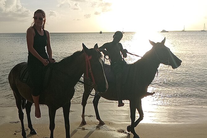 2 Hour Horseback Riding Sunset Tour with Dore's Riding Stable - Delwin, the guides, foals, and Silver