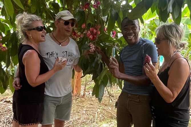 3-Hour St. Lucia Island Tour with Zero Entry Free - The guide, vehicle, and group size