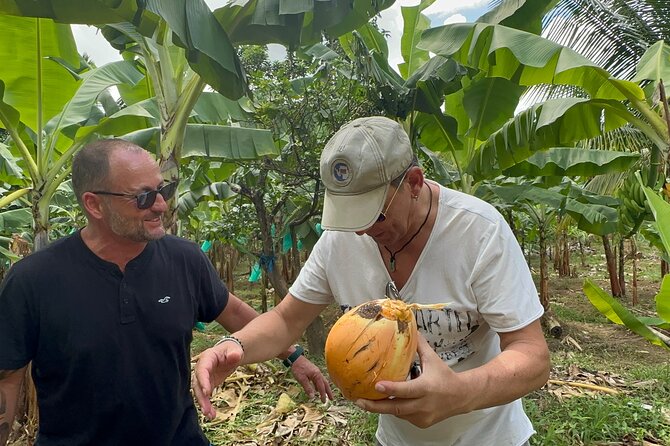 3-Hour St. Lucia Island Tour with Zero Entry Free - Timing, pickup, and cruise-day planning