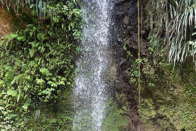 3-Hour St. Lucia Island Tour with Zero Entry Free - Who will enjoy this experience most