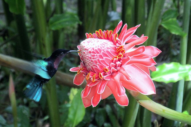 A Taste of Fond Doux Private Walking Tour - Key points at a glance