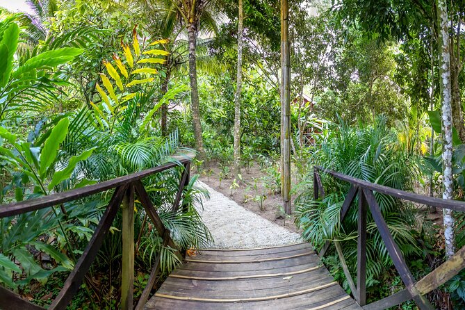 A Taste of Fond Doux Private Walking Tour - Starting at Fond Doux Eco Resort