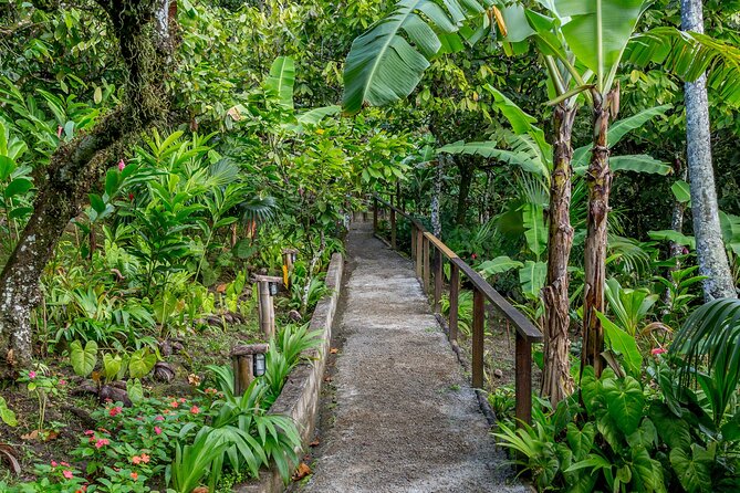 A Taste of Fond Doux Private Walking Tour - The first part of the walk: fruit trees and garden plants
