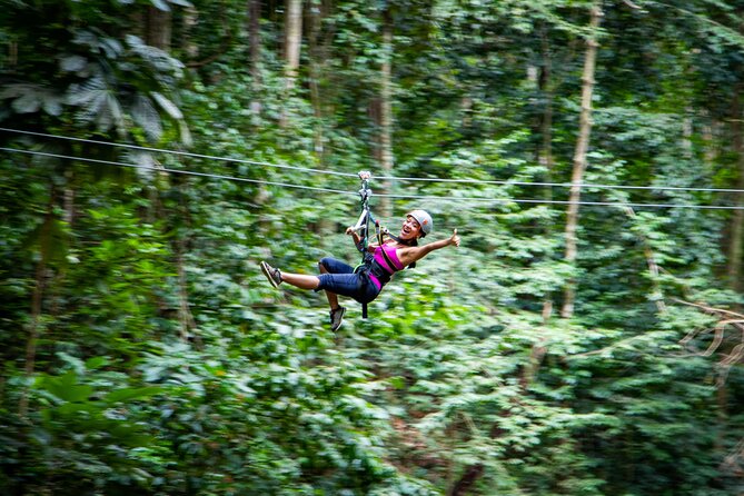 Adrena-Line Zipline, St. Lucia - Key points to know before you book