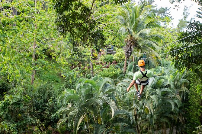 Adrena-Line Zipline, St. Lucia - Price and what the $63.75 covers