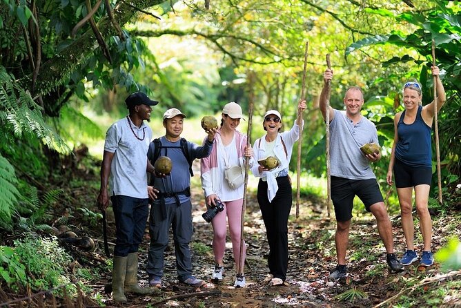 ATV Rainforest Adventure in St. Lucia - From Belle Plaine into St. Lucia’s rainforest