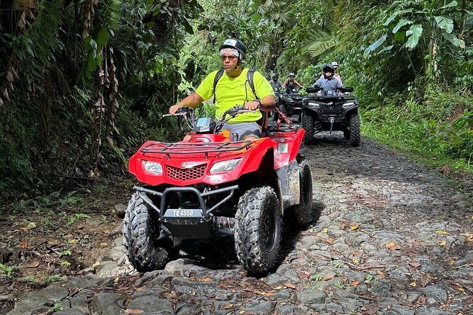 ATV Rainforest Adventure in St. Lucia - Grand Eden Estate, birds, fruit, and island stories