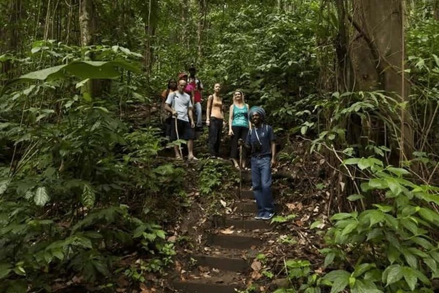 Babonneau/Castries: Rainforest Zip Line, Tram, and Hike Tour - The aerial tram gives you time to look
