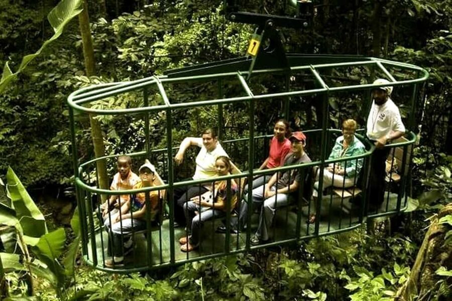 Babonneau/Castries: Rainforest Zip Line, Tram, and Hike Tour - Reaching the Castries Waterworks Reserve