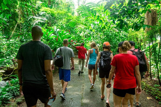 Best of Both Worlds Land and Sea Adventure - Sulphur Springs, St. Lucia’s drive-in volcano
