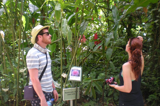 Best of Both Worlds Land and Sea Adventure - Lunch with a taste of local St. Lucia
