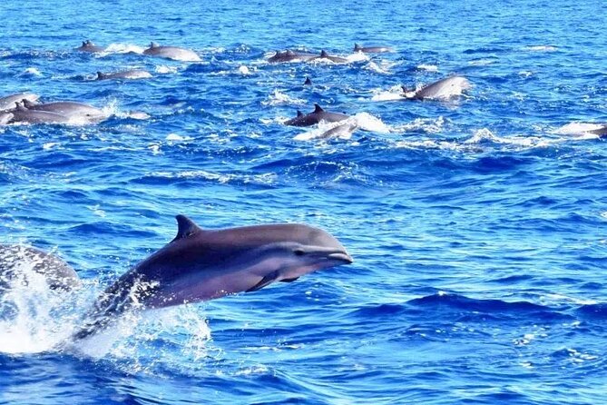 Best Of Full-Day Snorkeling & Beach Excursion with lunch & drinks - Lunch, Rum Punch, and the Practical Comforts