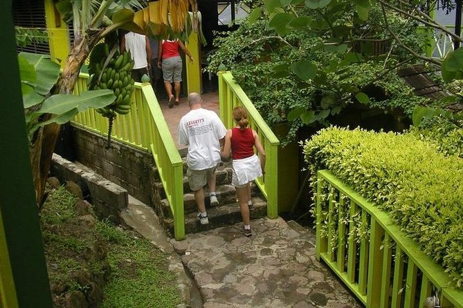 Best Soufiere Round the Island Tour - Piton Falls: mineral springs with a sea view