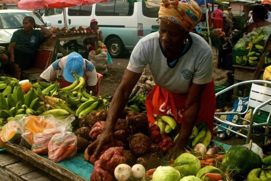 Castries: Guided City Architecture and Castries Market Tour - Starting around Castries and Pointe Seraphine