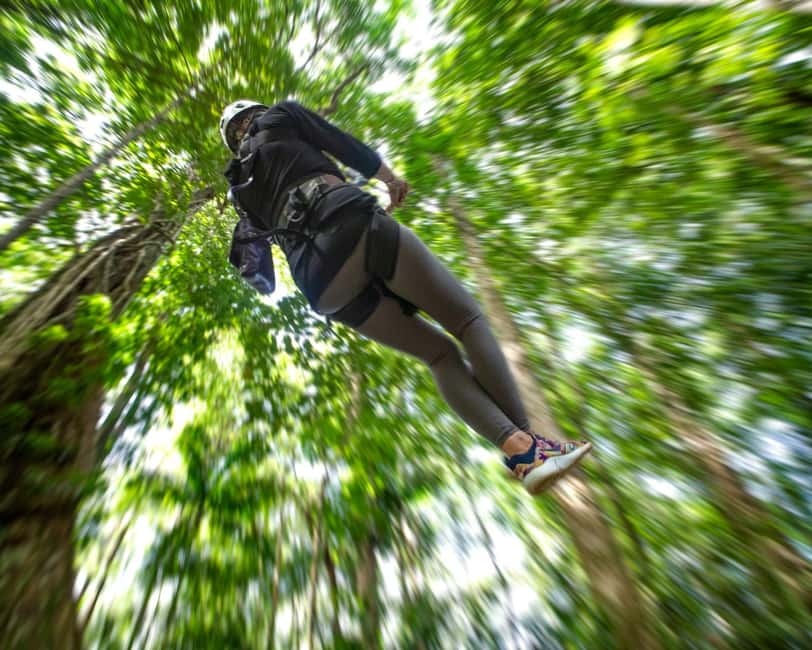 Castries, St. Lucia - Adrenaline Zipline - Reaching Rainforest Adventures from Castries