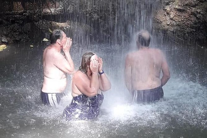 Cruise Ship Excursions with Dannyboy & Co. - Diamond Falls Botanical Gardens, if time allows