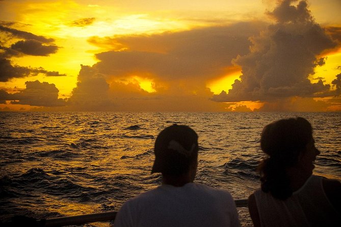 Cruise Sunset Party in Castries - Champagne, rum punch, and finger food