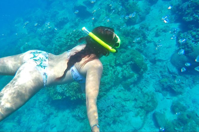Dash and Splash Snorkel Adventure St Lucia - Who will get the best value from this trip?