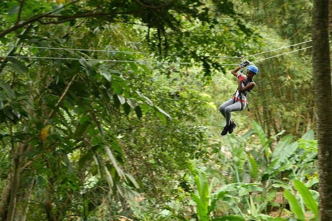 Day of Adventure - Zipline and Hike or Bike - Key points to know before you book