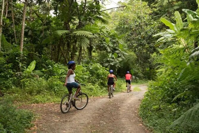 Day of Adventure - Zipline and Hike or Bike - Choosing the rainforest hike to Errard Waterfall
