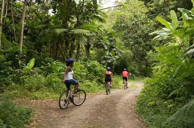 Day of Adventure - Zipline and Hike or Bike - Refreshments that make a practical difference