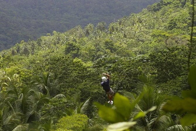 Day of Adventure - Zipline and Hike or Bike - Twelve zip lines across 5,100 feet of forest