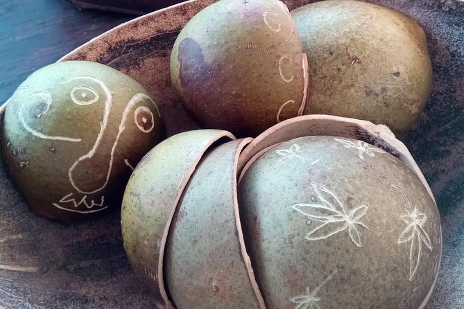 DIY Craft Your Own wooden Bowl : from a calabash fruit! - Key points to know before you book
