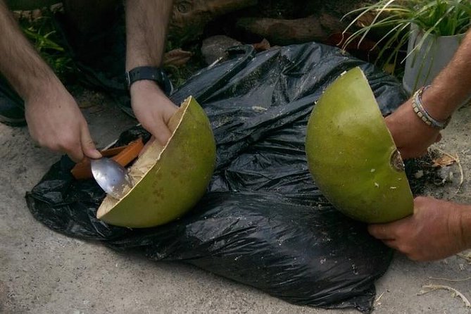 DIY Craft Your Own wooden Bowl : from a calabash fruit! - Arriving at Trouya Beach
