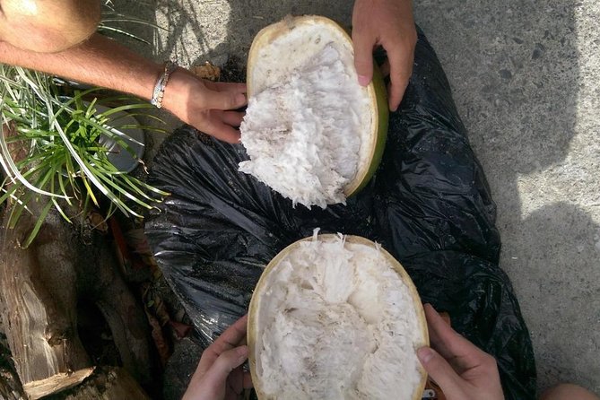 DIY Craft Your Own wooden Bowl : from a calabash fruit! - How much value do you get for $39.48?