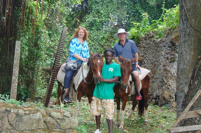 East Coast Horseback Riding & Waterfall Excursion - Key Points Before You Book