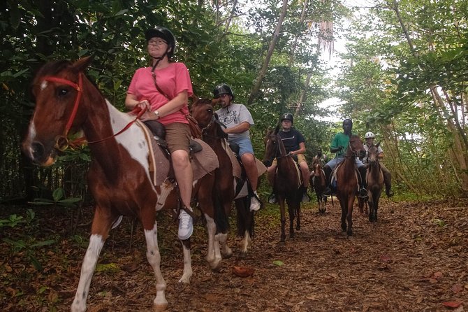 East Coast Horseback Riding & Waterfall Excursion - From Resort or Cruise Port to St. Lucia’s East Coast