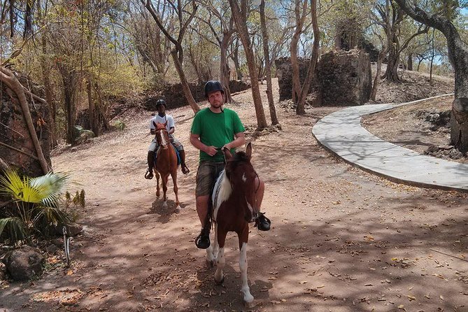 East Coast Horseback Riding & Waterfall Excursion - Is $160 a Good Value?