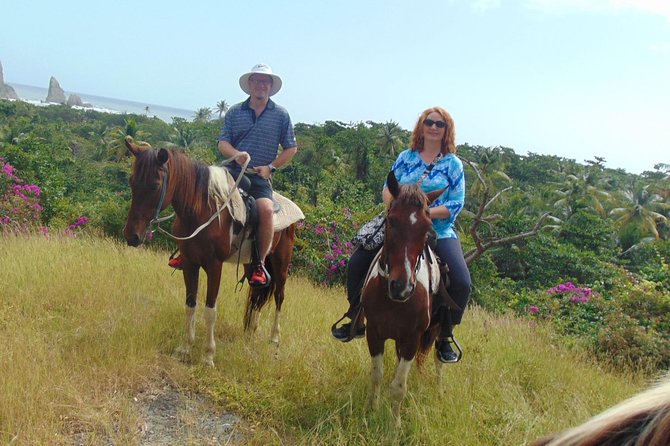 East Coast Horseback Riding & Waterfall Excursion - Who Will Enjoy This Most?