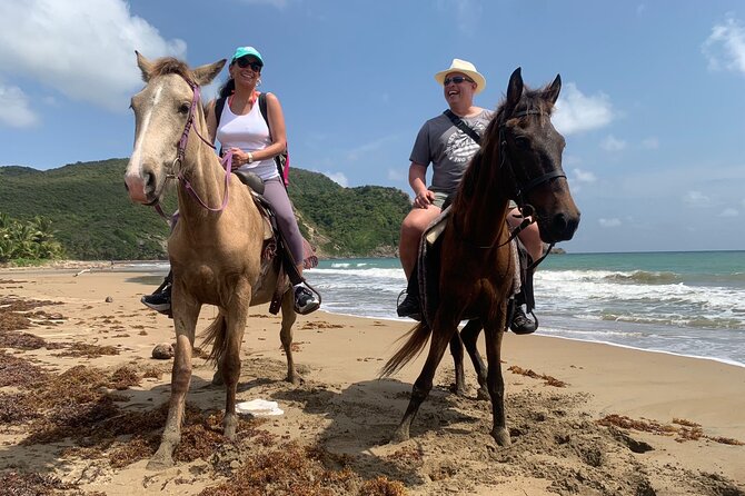East Coast Horseback Riding, Waterfall & Soufriere Private Tour - Why this private St. Lucia day works so well