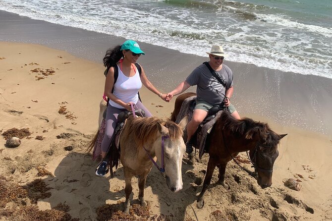 East Coast Horseback Riding, Waterfall & Soufriere Private Tour - How the nine-hour schedule may feel