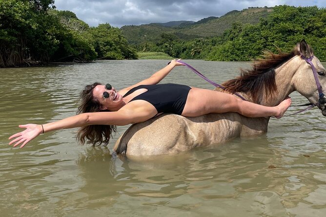 East Coast Horseback Riding, Waterfall & Soufriere Private Tour - Who should book this tour
