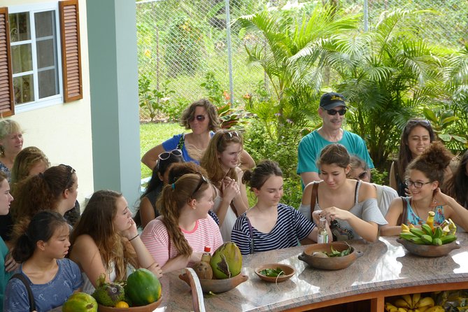 Essence of St Lucia Heritage Experience - Quick take: five details worth knowing