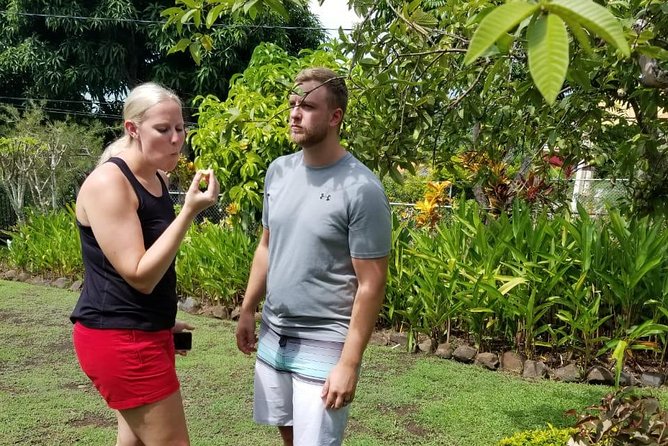 Essence of St Lucia Heritage Experience - Tasting tropical fruit, local dishes, sweets, and rum