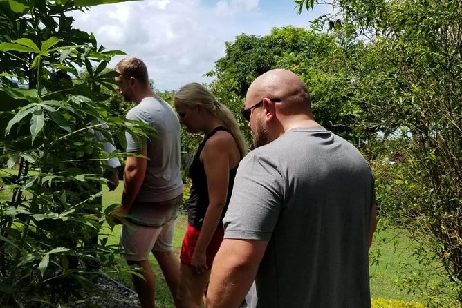 Essence of St Lucia Heritage Experience - What $85 includes, and where the value lies
