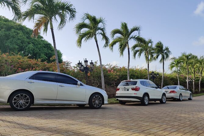 Fast Track (Expedited Arrival) & FREE Transfer To Hotel/Airbnb - The service is strongest when the airport is crowded