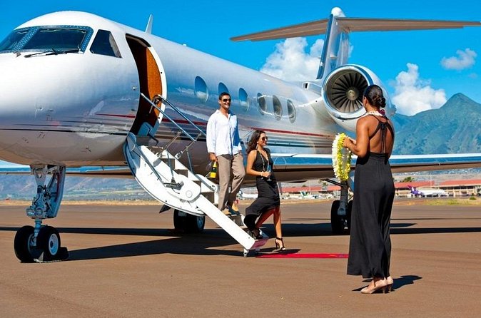 Fast Track On Arrival at St Lucia Airport & Round Trip Transfer - Who should book this St Lucia airport service?
