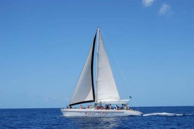 Full-Day Catamaran Tour to Soufriere