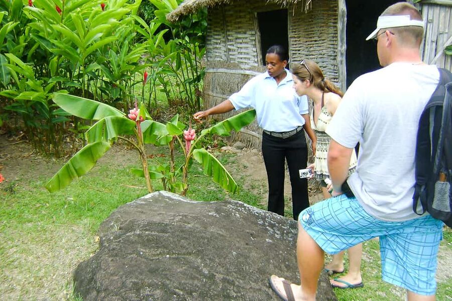From Castries: Full-Day Catamaran Tour to Soufriere - Passing the Pitons and returning by catamaran