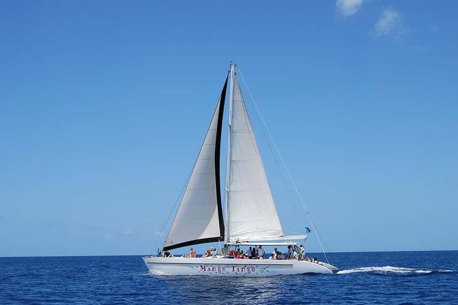 From Castries: Full-Day Catamaran Tour to Soufriere - The morning transfer and west coast cruise
