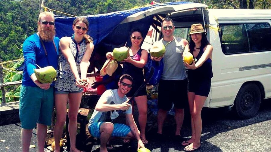 From Castries: St.Lucia Island Guided Tour - The St. Lucia details worth knowing first
