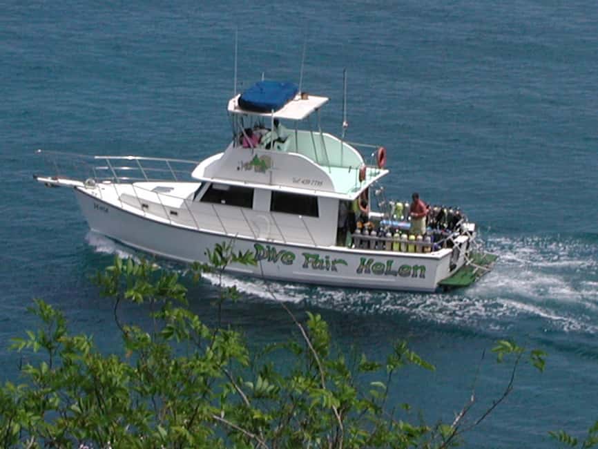 From Castries: St. Lucia Scuba Diving Excursion - Key points to know before booking