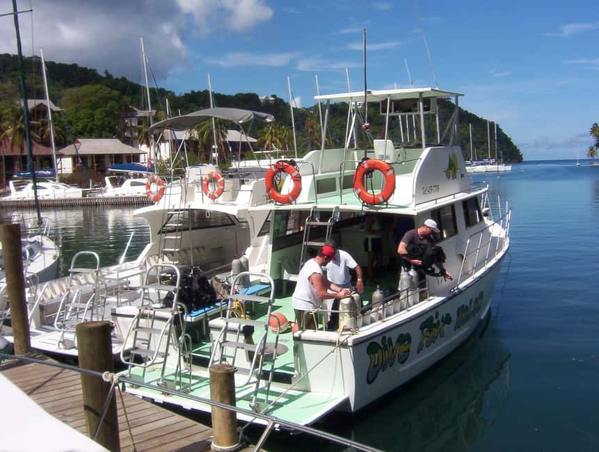 From Castries: St. Lucia Scuba Diving Excursion - Anse Chastanet and the possible night session