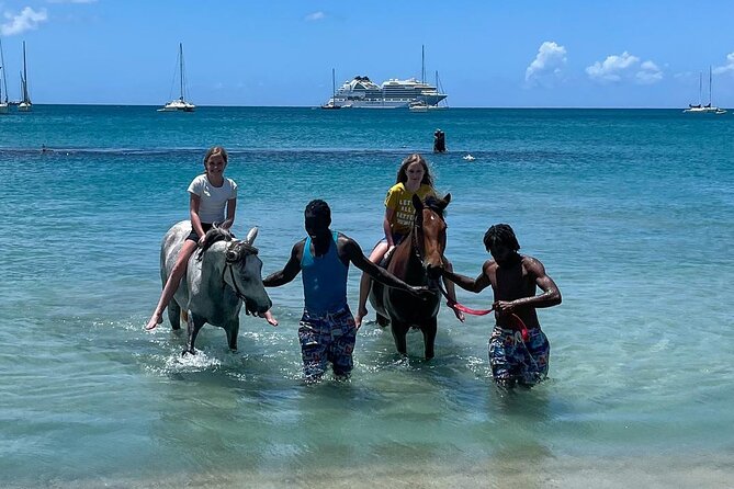 Gros Islet Village Horseback Riding run with Dore's riding Stable - Starting at Cap Estate with a coastal view