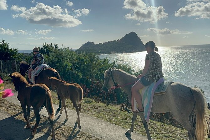 Gros Islet Village Horseback Riding run with Dore's riding Stable - Exploring Gros Islet on horseback